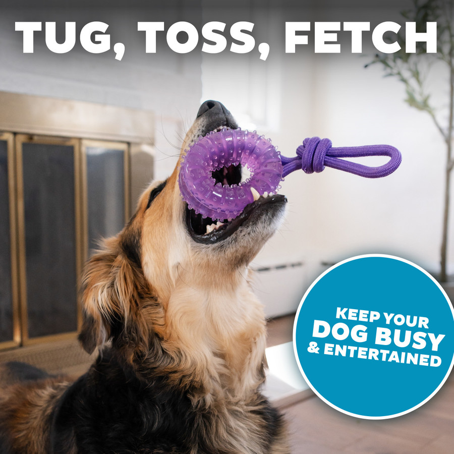 2-in-1 Dental Chew Wheel Dog Chew Toy And Tug Toy Purple