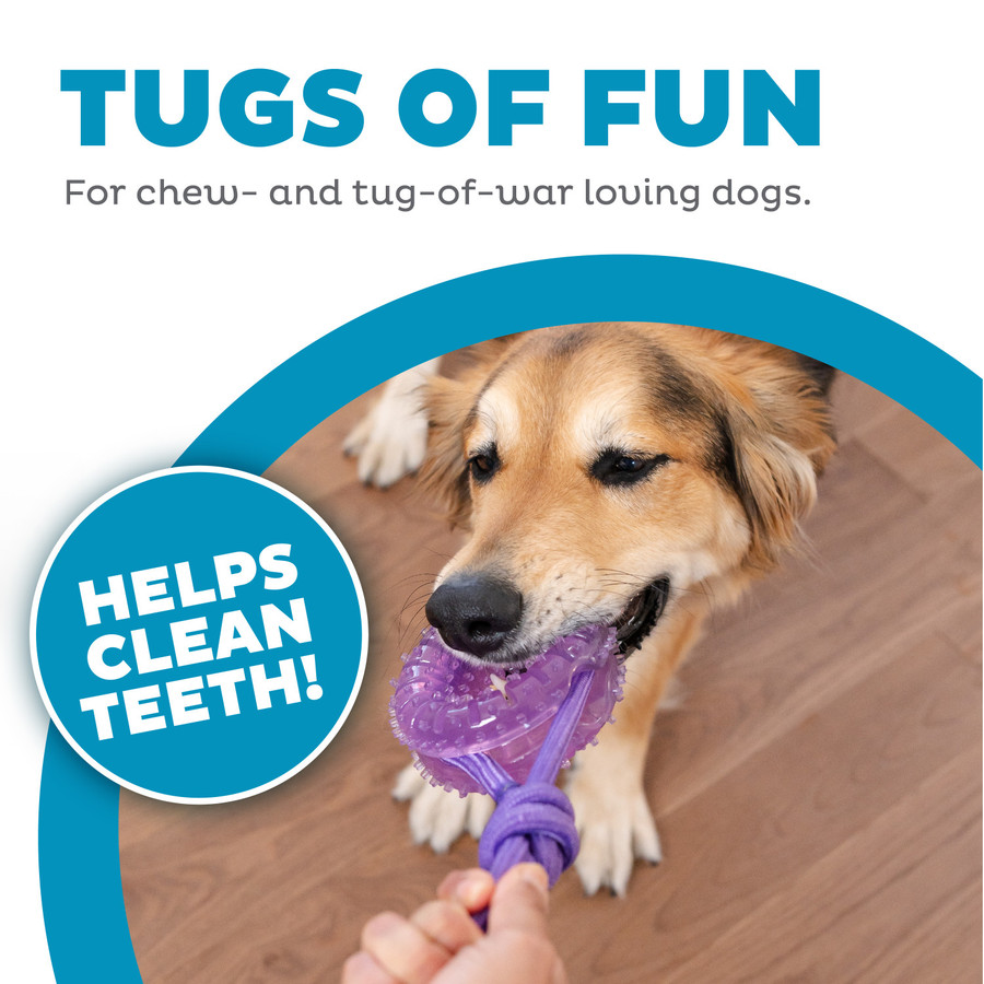 2-in-1 Dental Chew Wheel Dog Chew Toy And Tug Toy Purple