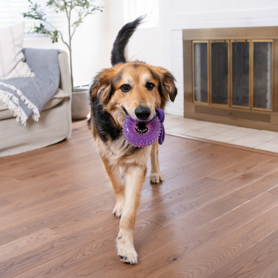 2-in-1 Dental Chew Wheel Dog Chew Toy And Tug Toy Purple