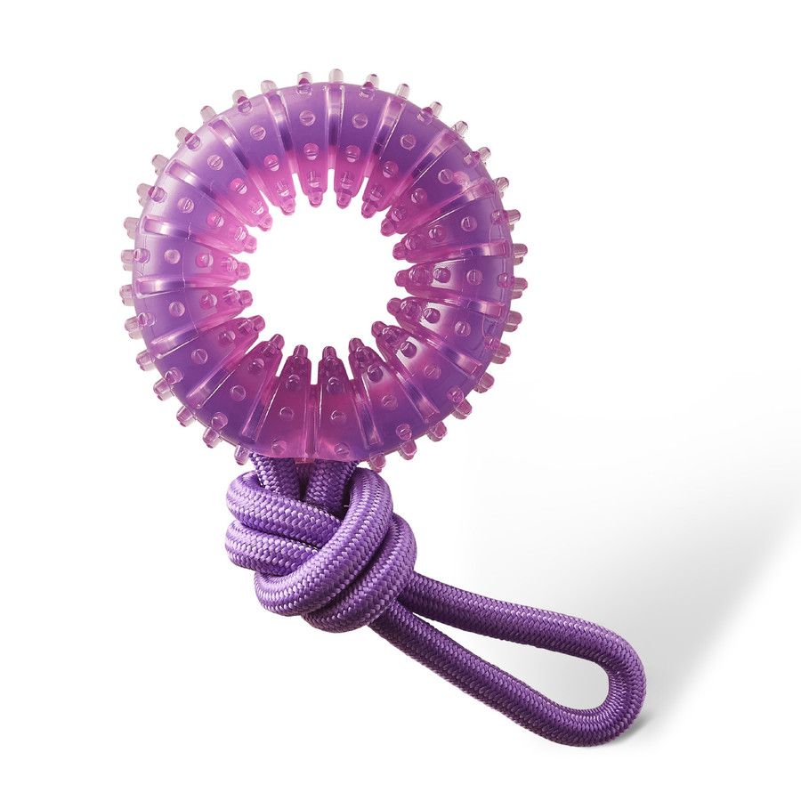 2-in-1 Dental Chew Wheel Dog Chew Toy and Tug Toy Purple
