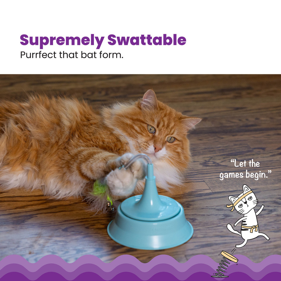 2-in-1 Spring Toy Cat Toy And Cat Ball Track Topper