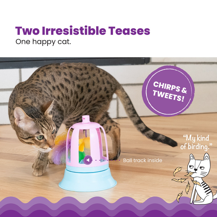 2in1 Track Topper Chirping Bird Toy