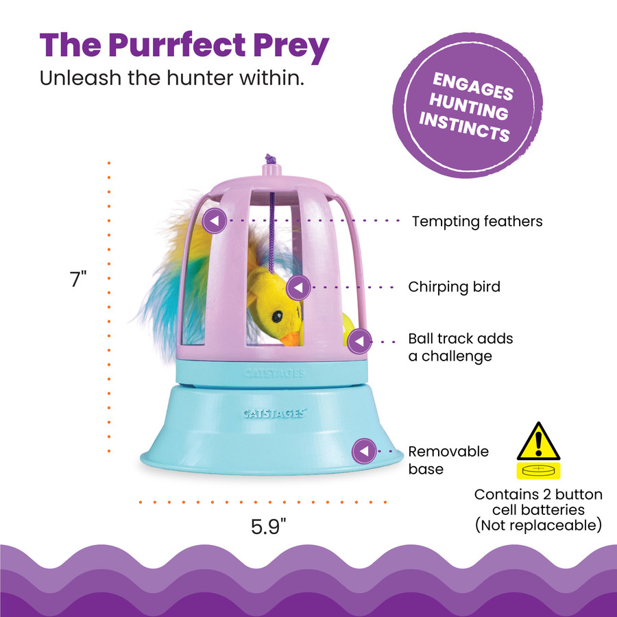 2in1 Track Topper Chirping Bird Toy