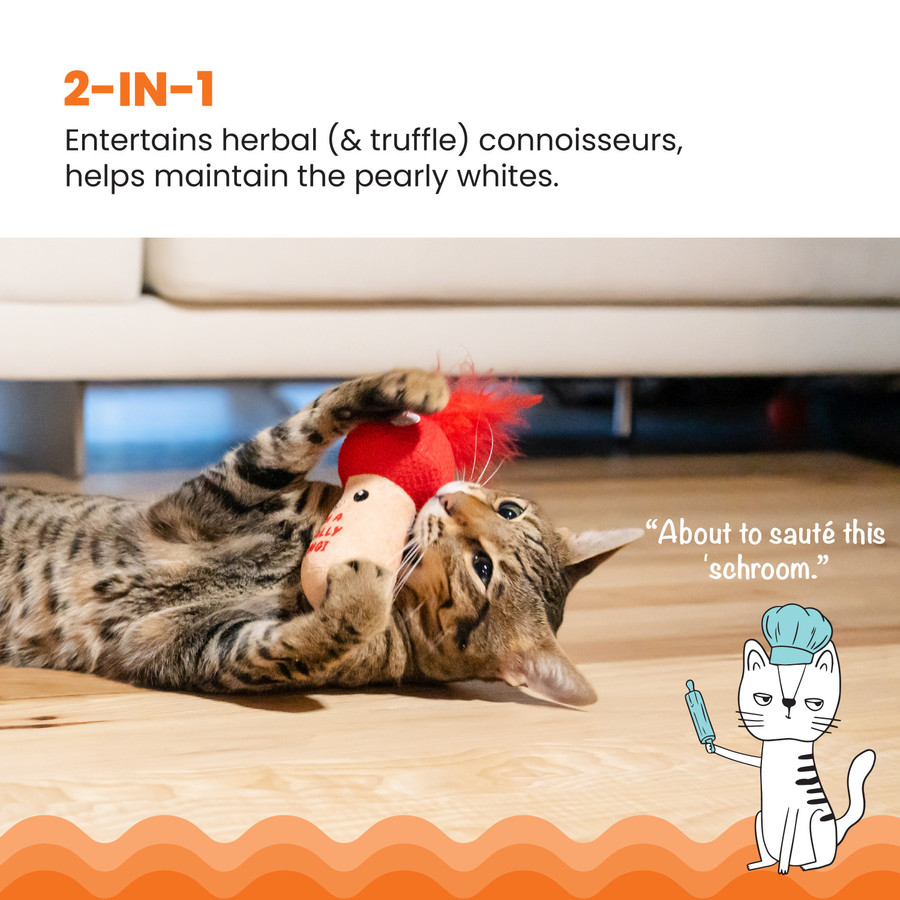 A Really Fungi Mushroom Kicker Catnip Toy And Dental Toy For Cats
