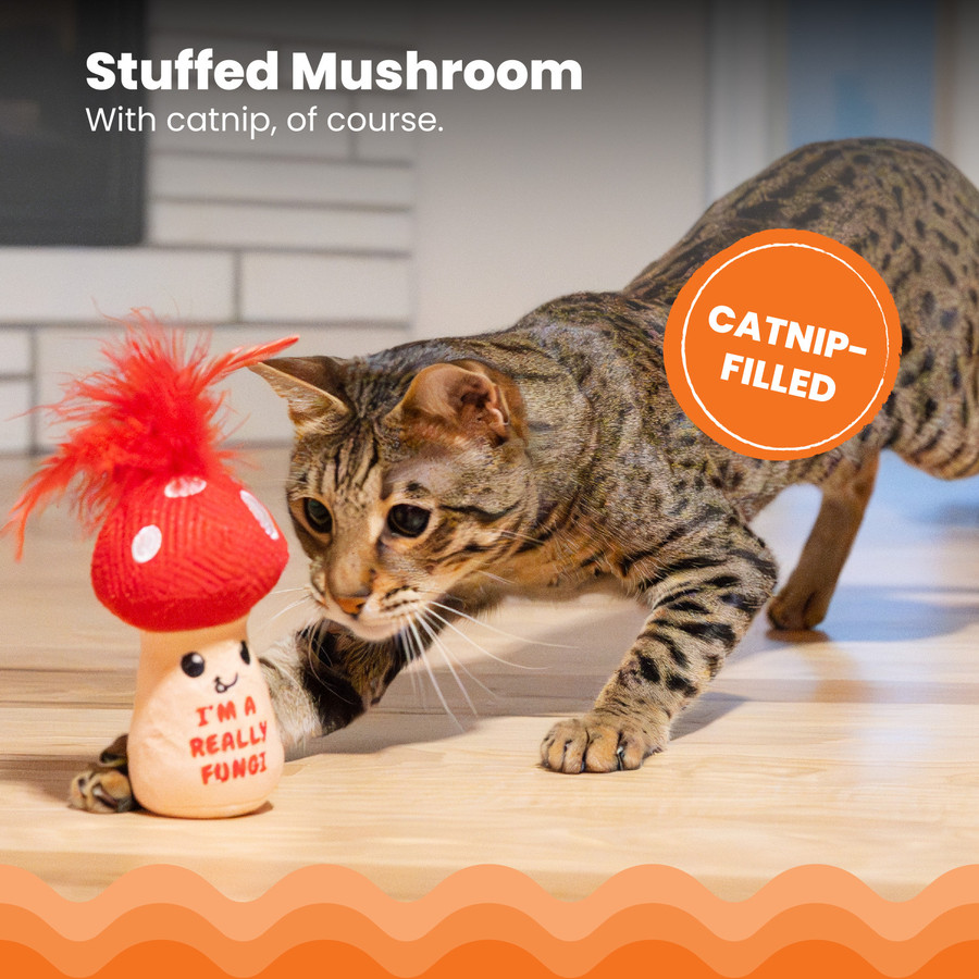 A Really Fungi Mushroom Kicker Catnip Toy And Dental Toy For Cats