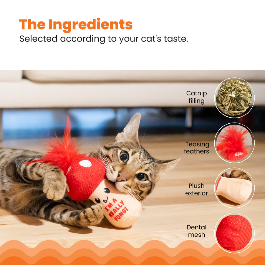 A Really Fungi Mushroom Kicker Catnip Toy And Dental Toy For Cats