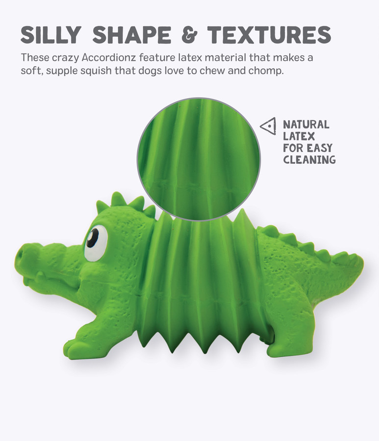 Accordionz Alligator Latex Rubber Dog Toy