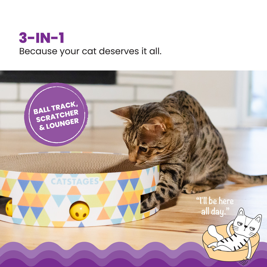 Bowl Track Scratcher Cat Ball Track Multi