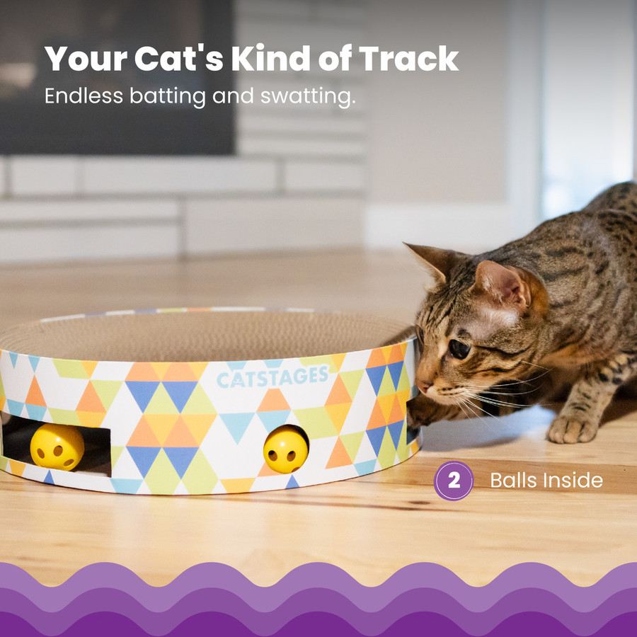 Bowl Track Scratcher Cat Ball Track Multi