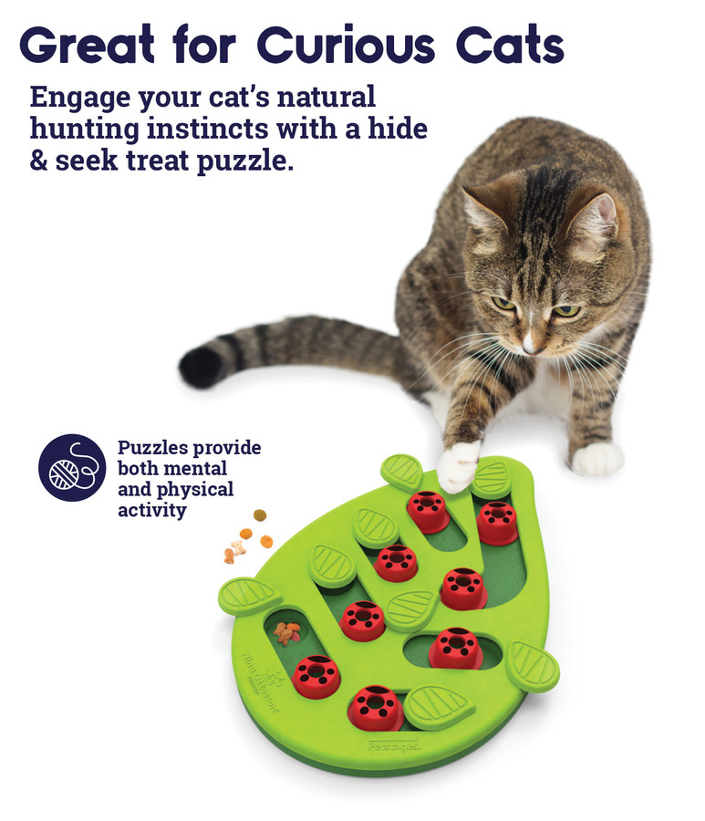 Buggin' Out Puzzle & Play Cat Game Green