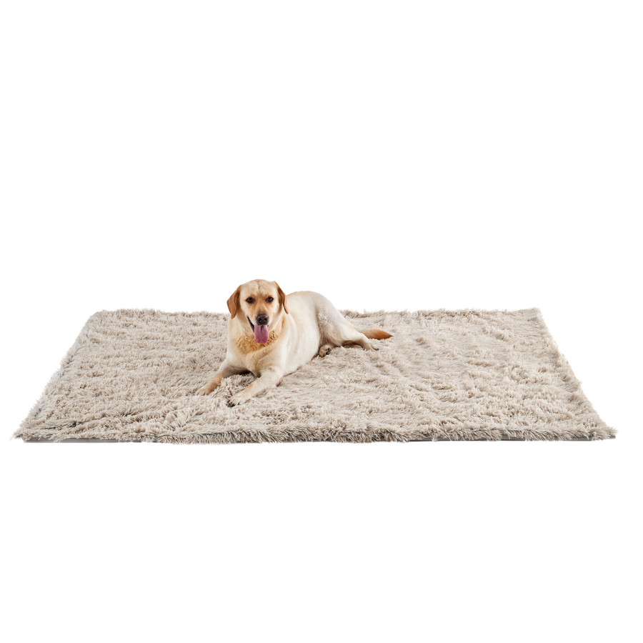 Calming Shag Oversized Dog Blanket for Large Dogs Taupe 60X80