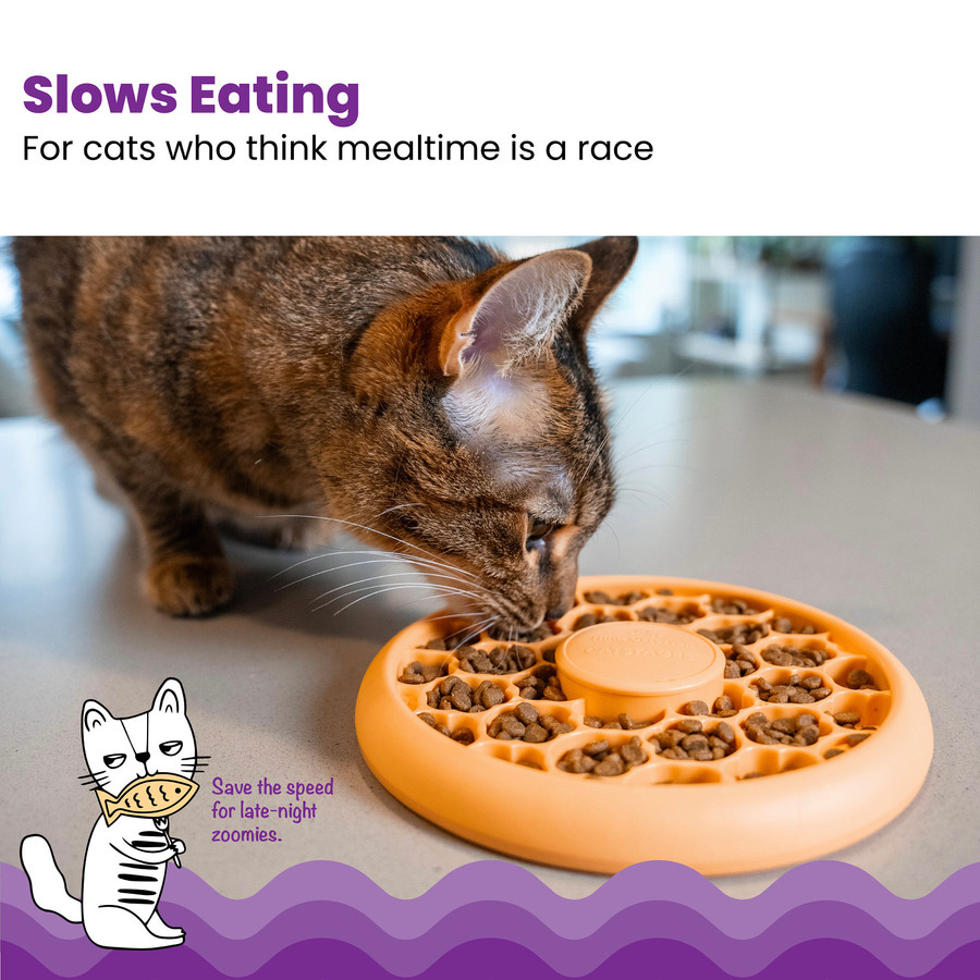 Cat Slow Feeder Bowl Cat Bowl Orange