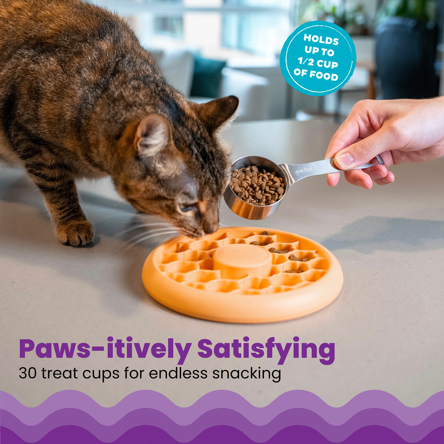 Cat Slow Feeder Bowl Cat Bowl Orange