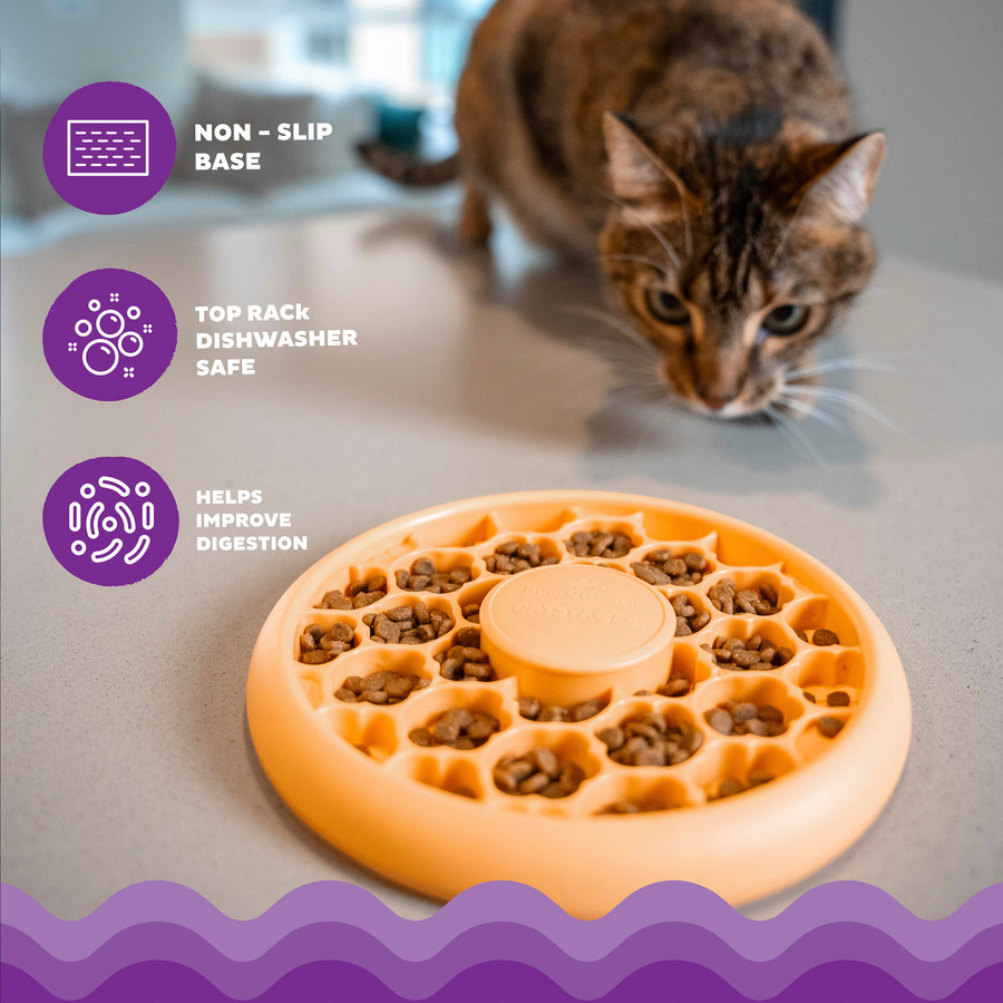 Cat Slow Feeder Bowl Cat Bowl Orange