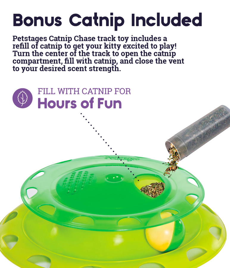 Catnip Chase Track Cat Toy Green