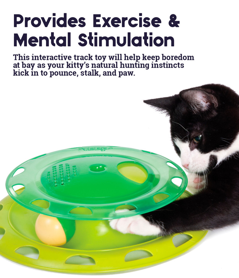 Catnip Chase Track Cat Toy Green