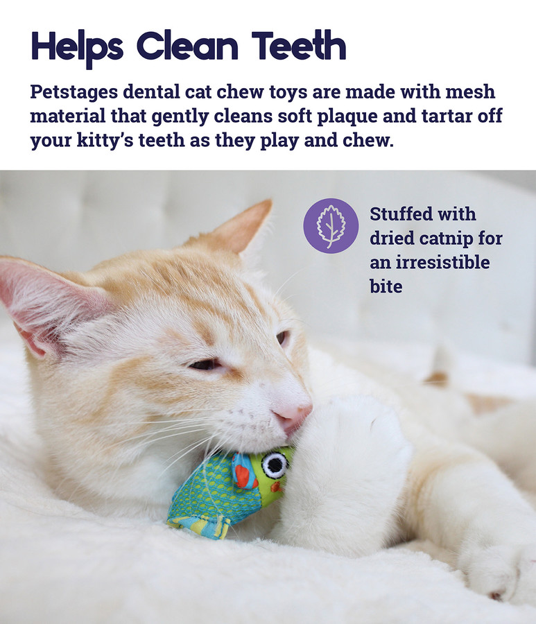 Catnip Chew Mice Dental Health Cat Toy - 2 Pack Multi