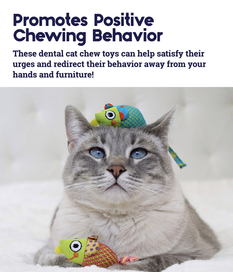 Catnip Chew Mice Dental Health Cat Toy - 2 Pack Multi