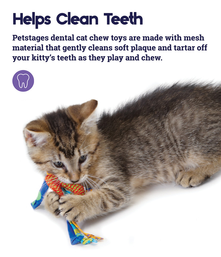 Catnip Dental Health Cat Chew Toy - 2 Pack Multi