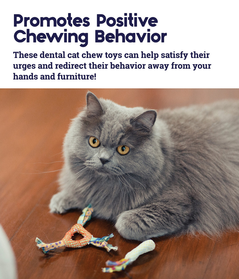 Catnip Dental Health Cat Chew Toy - 2 Pack Multi