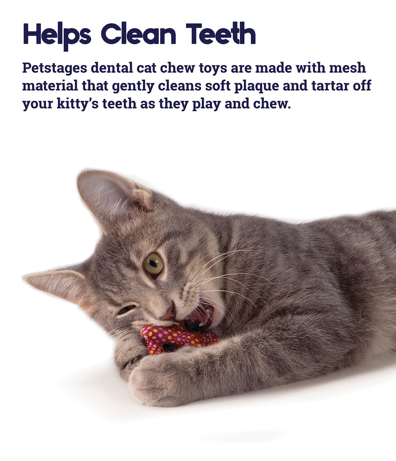 Catnip Plaque Away Pretzel Cat Chew Toy Orange
