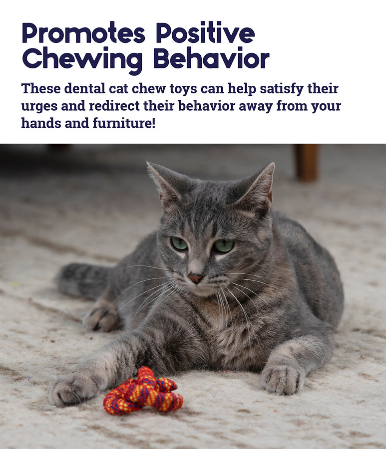 Catnip Plaque Away Pretzel Cat Chew Toy Orange