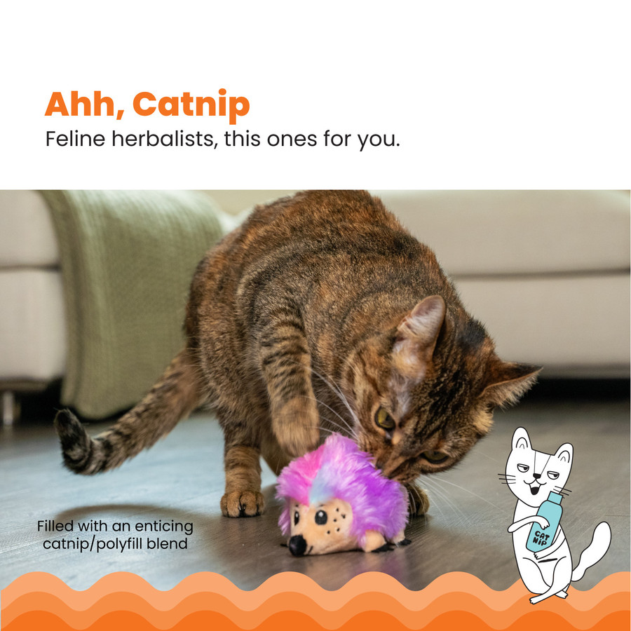Catnip Plushies Hedgehog Plush Catnip Cat Toy
