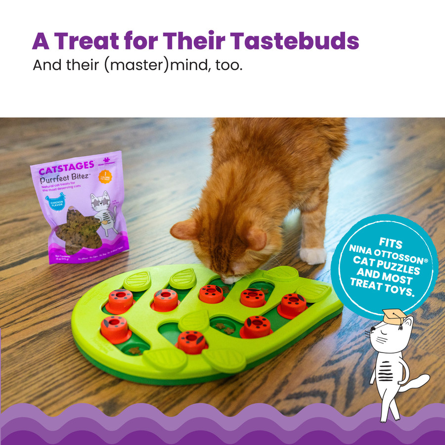 Catstages By Nina Ottosson Purrfect Bitez Natural Crunchy Cat Treats Chicken 4oz