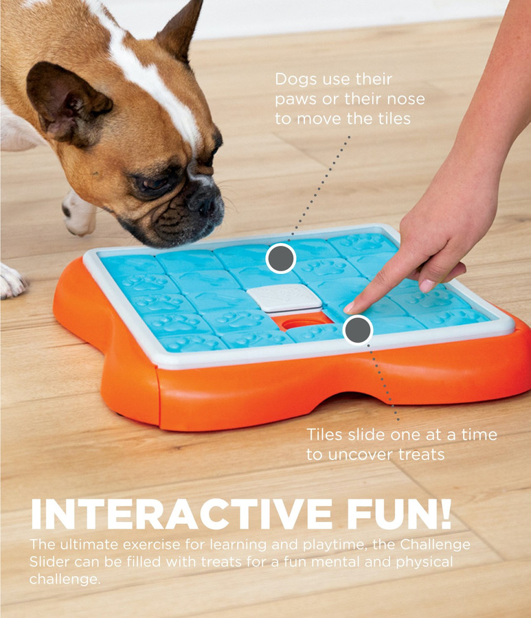 Challenge Slider Interactive Treat Puzzle Dog Toy Multi