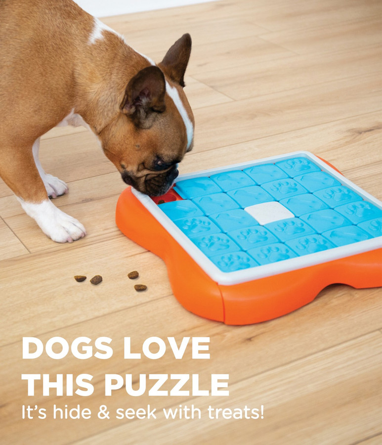 Challenge Slider Interactive Treat Puzzle Dog Toy Multi