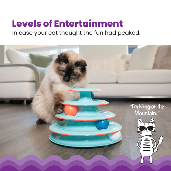 Chase Meowtain Cat Track Toy Blue