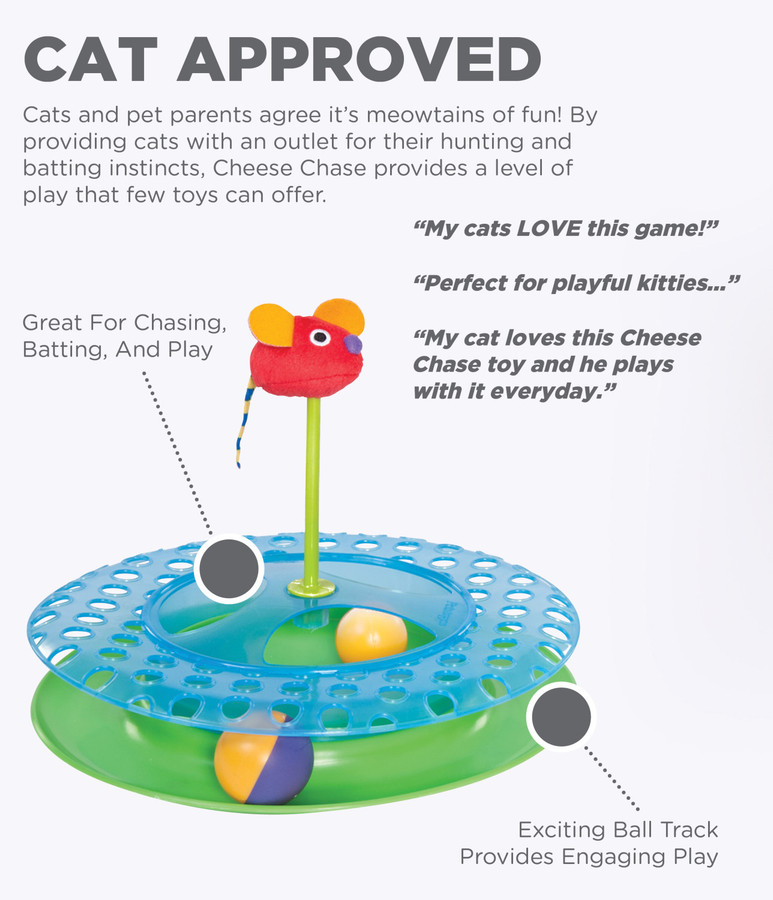 Cheese Chase Catnip Cat Track Toy Multi