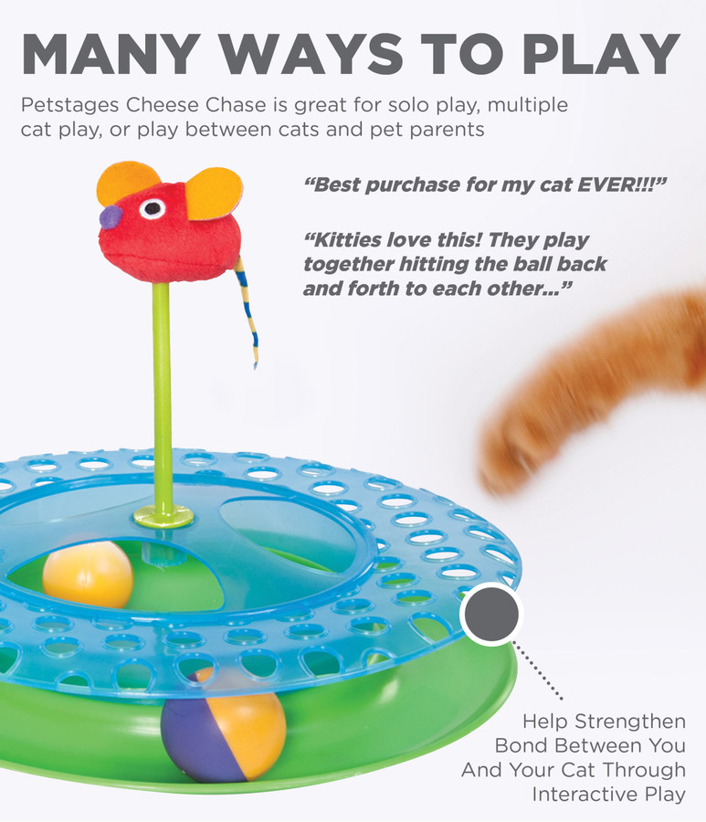 Cheese Chase Catnip Cat Track Toy Multi