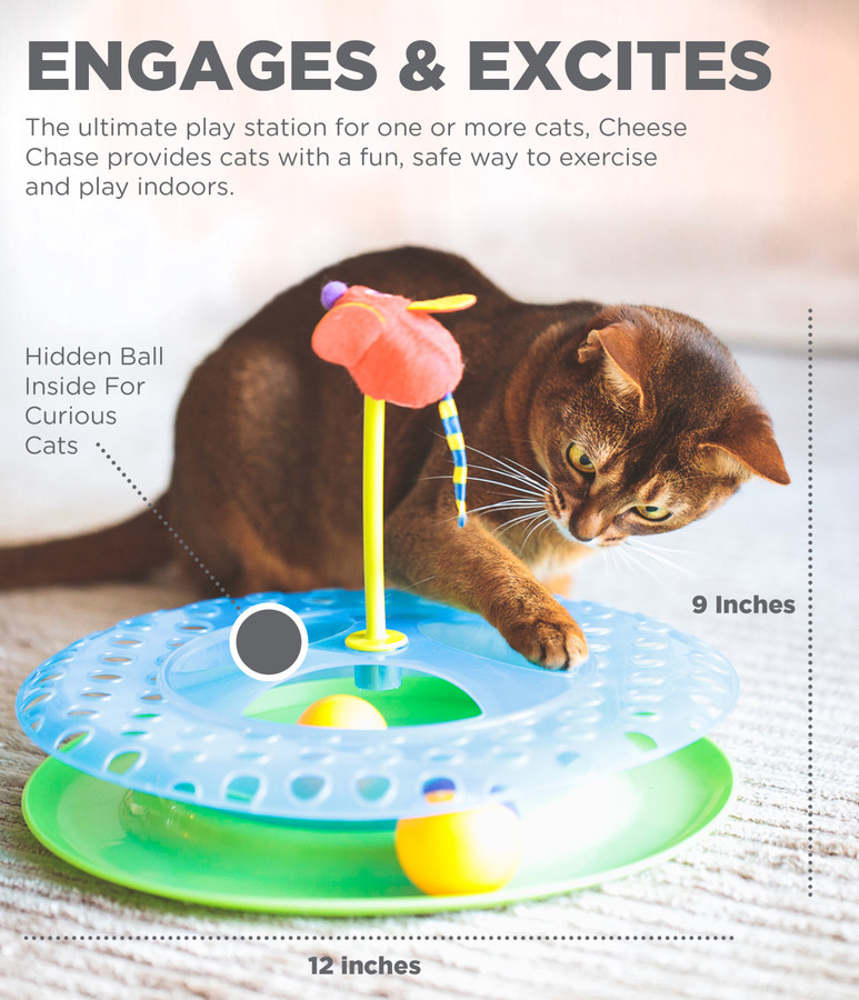 Cheese Chase Catnip Cat Track Toy Multi