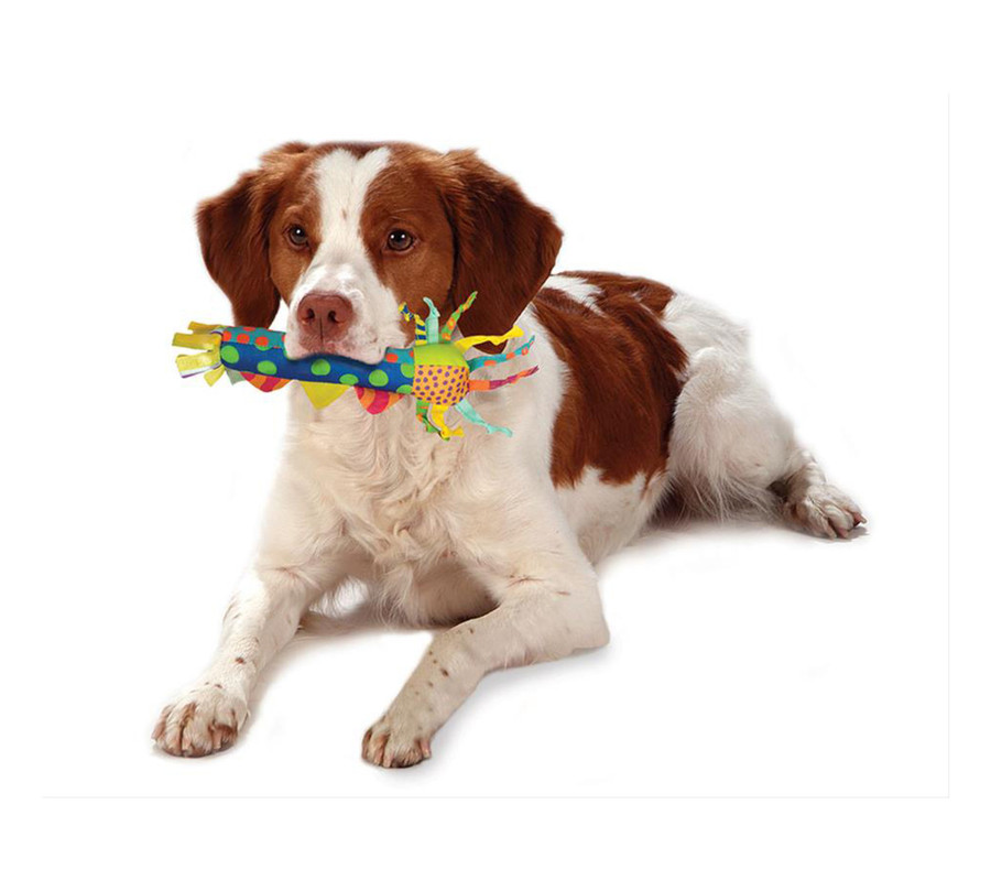 Cool Teething Stick Dog Toy Multi