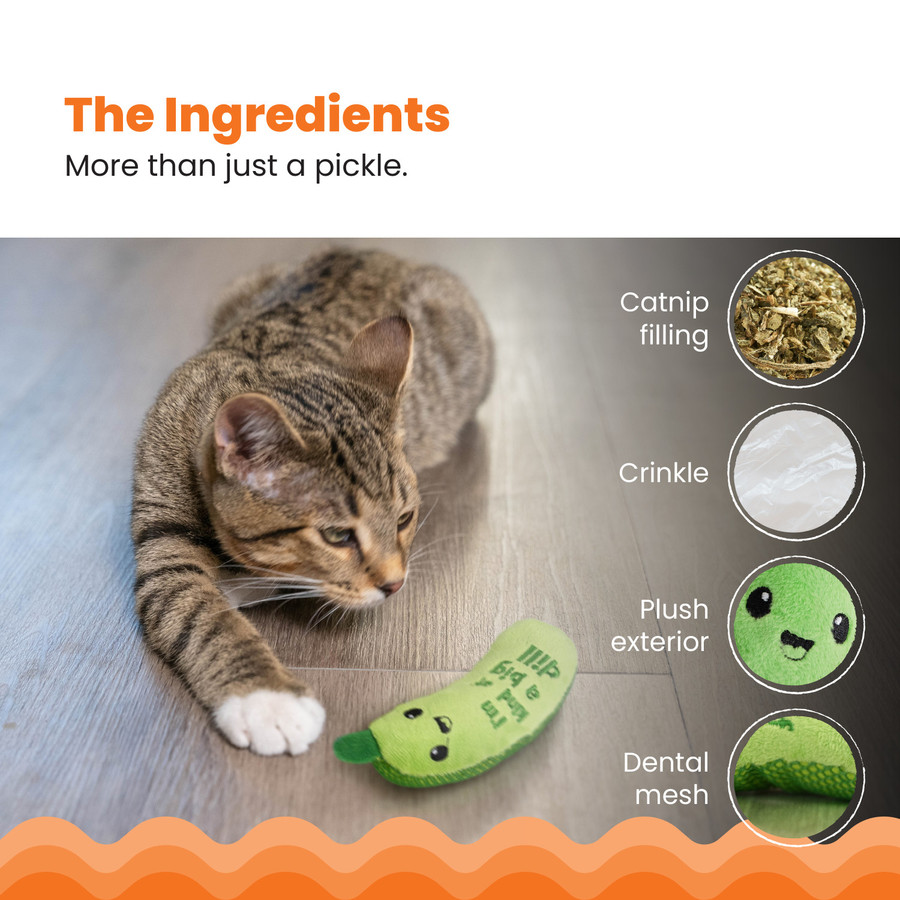 Crunchy Pickle Kicker