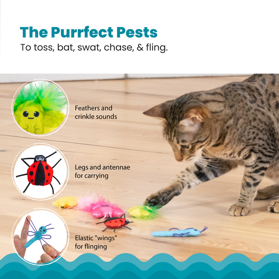 Cute As A Bug Plush Cat Toys 6pk