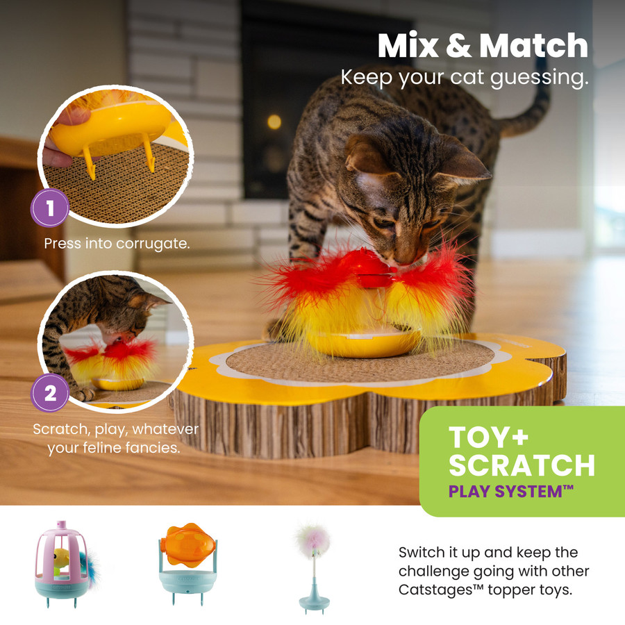Daisy Scratch And Spinning Catnip Toy Bundle Cat Scratcher And Topper Mlt