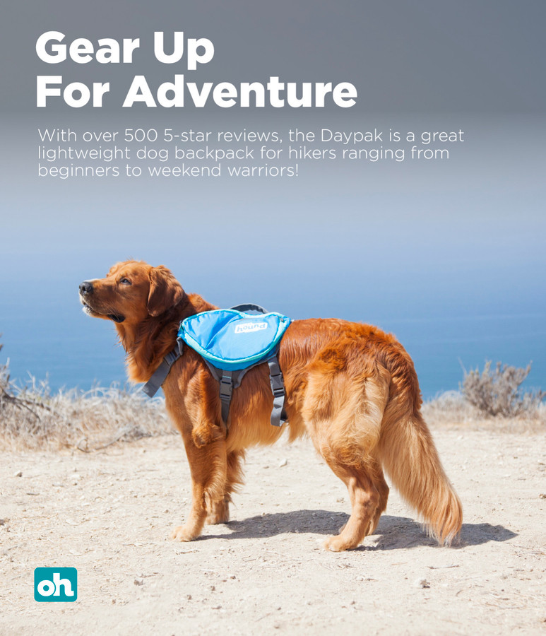 DayPak Saddleback Dog Backpack