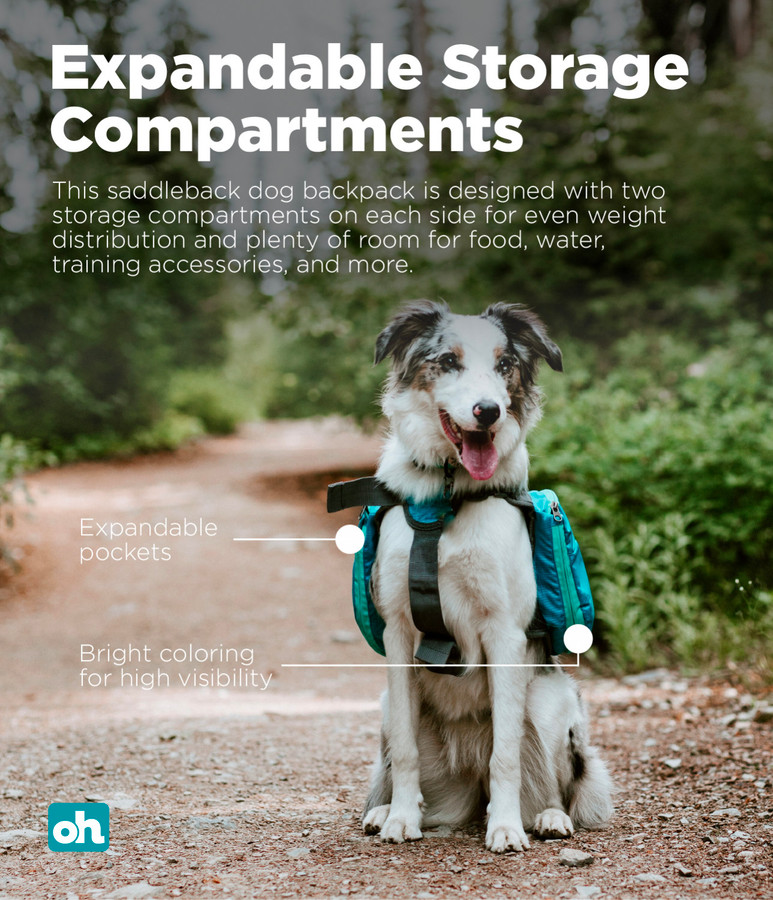DayPak Saddleback Dog Backpack