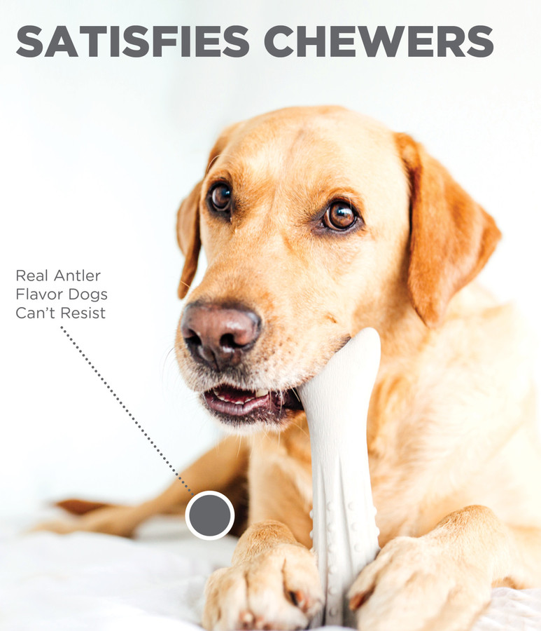 Deerhorn Antler Alternative Dog Chew Toy