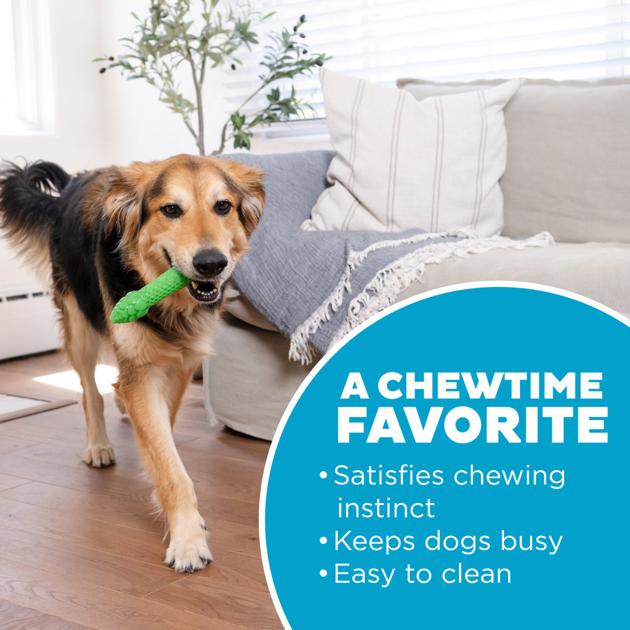 Dental Asparagus Treat-Dispensing Dental Dog Chew Toy Medium Green