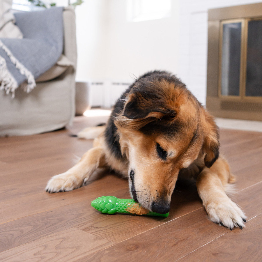 Dental Asparagus Treat-Dispensing Dental Dog Chew Toy Medium Green