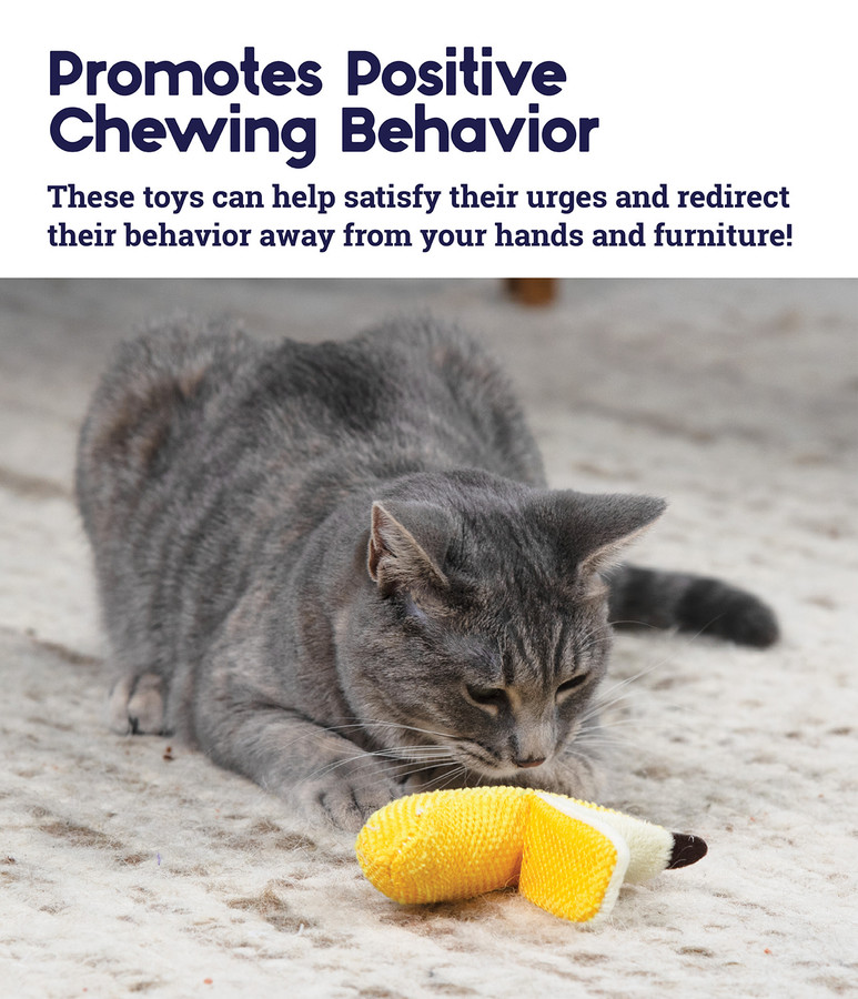 Dental Banana Cat Chew Toy Yellow