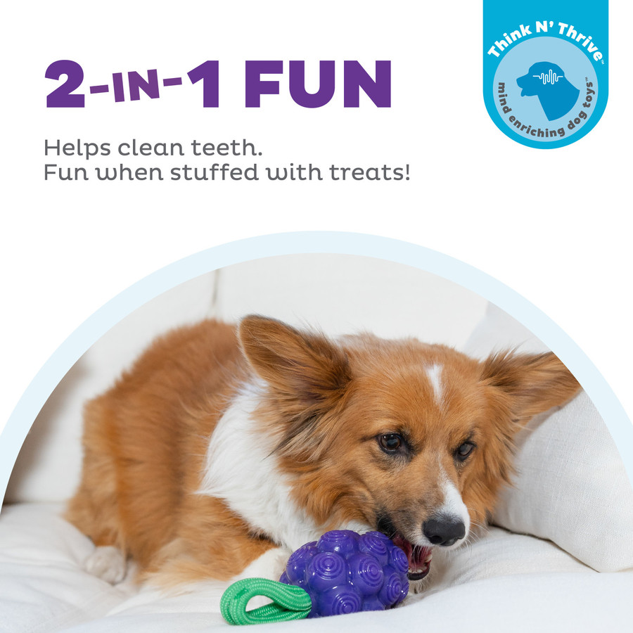 Dental Grapes Dental Chew Toy And Interactive Treat Stuffer