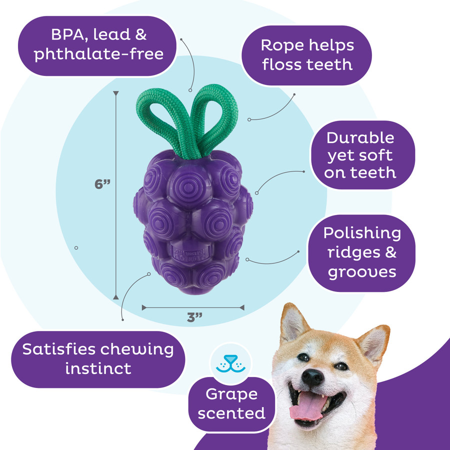 Dental Grapes Dental Chew Toy And Interactive Treat Stuffer