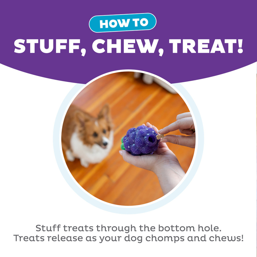 Dental Grapes Dental Chew Toy And Interactive Treat Stuffer