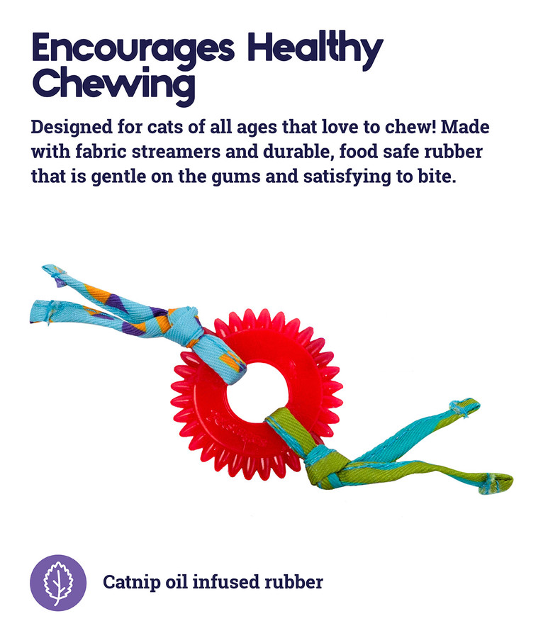Dental Kitty Chew Wheel Cat Toy Multi