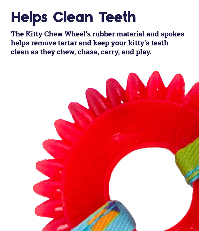 Dental Kitty Chew Wheel Cat Toy Multi
