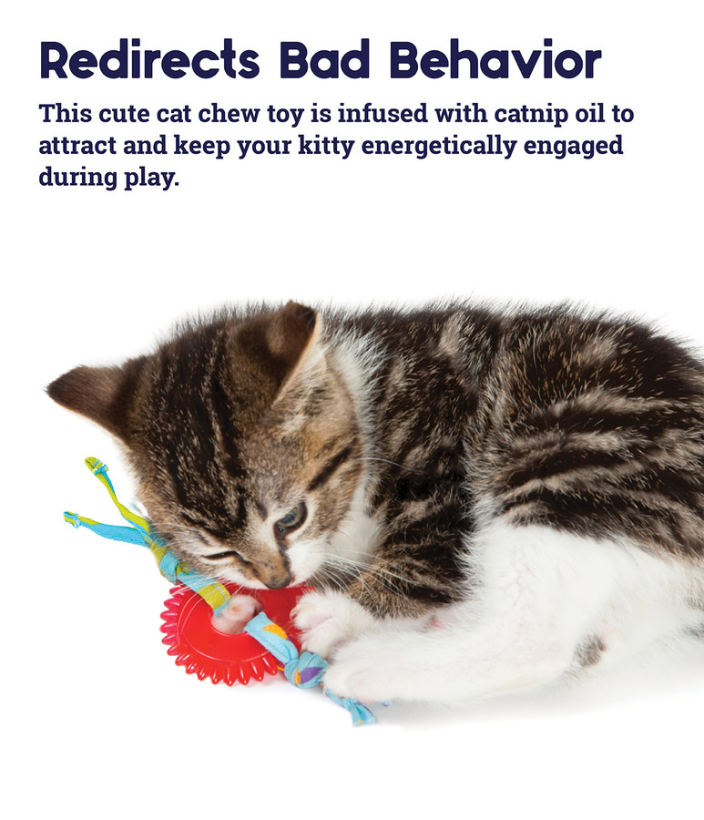 Dental Kitty Chew Wheel Cat Toy Multi